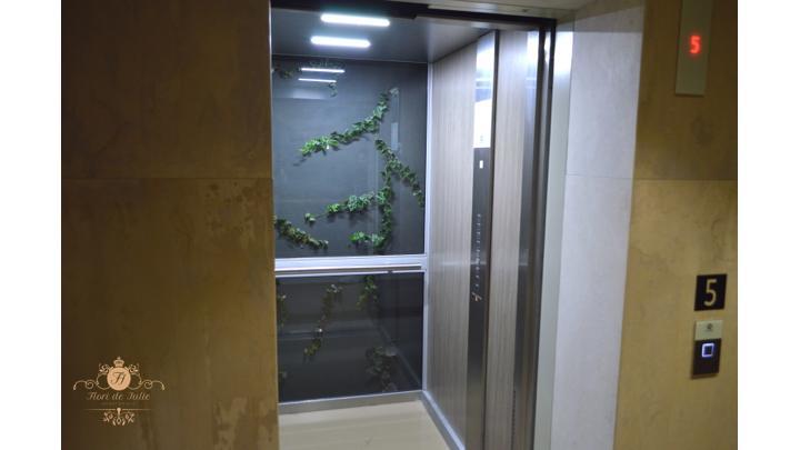 Flori De Iulie Apartamente Braşov Exteriör bild